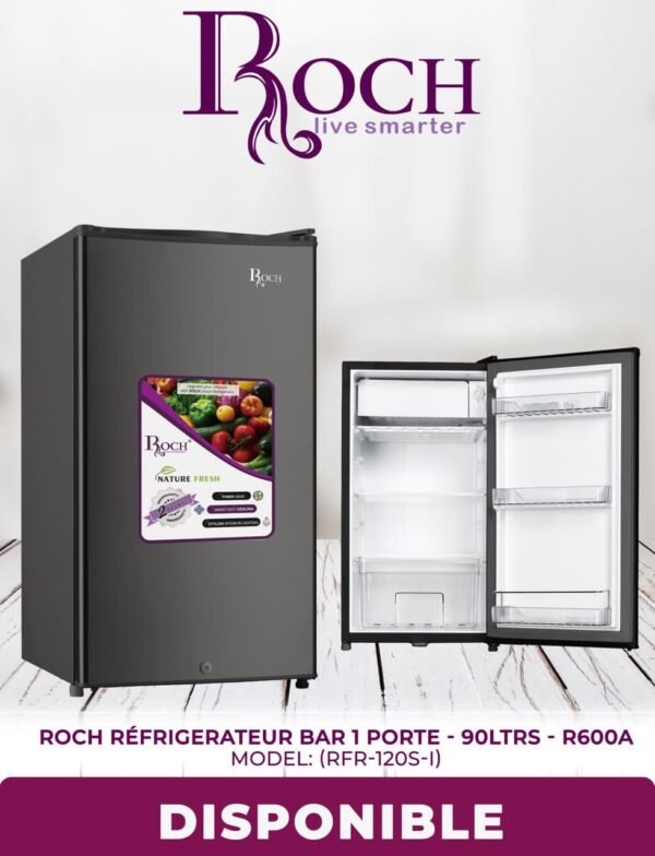 Frigo bar Roch 90L